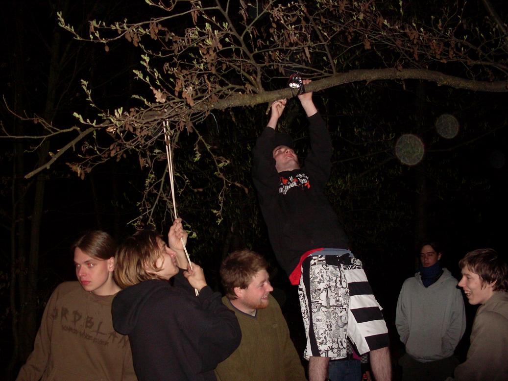 SDC11339.JPG